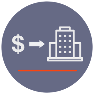 Investing in a company